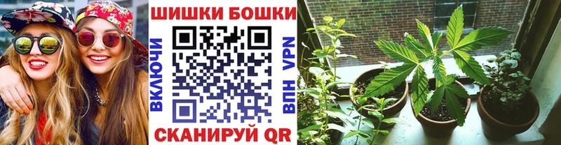Бошки Шишки Ganja  Верея 